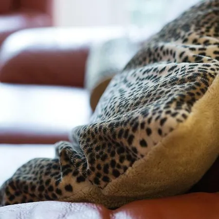 Altstadt Kunstmuseum *