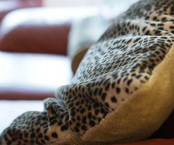 Altstadt Kunstmuseum *